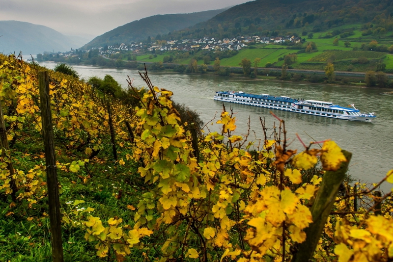 River cruise through vineyard landscape